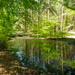 Wandelcoaching-de natuur als spiegel Wandelcoaching-de natuur als spiegel