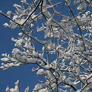 seizoenen-winter-2 Beddingwerk-stiltewandelinmgen-in-het-ritme-van-de-seizoenen